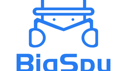 BigSpy Logo